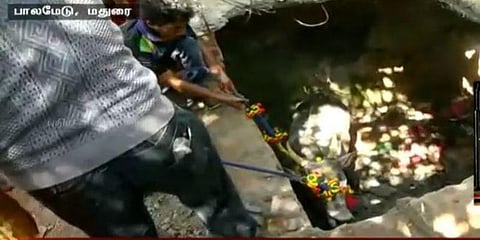 கழிவறைத் தொட்டியில் விழுந்த ஜல்லிக்கட்டுக் காளை