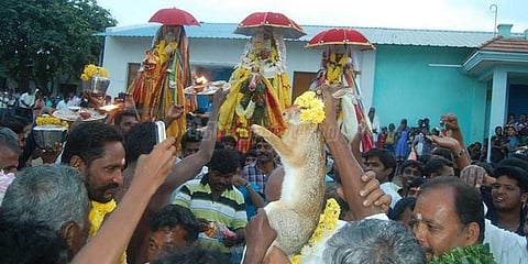 கோலாகலமாக நடைபெற்ற முயல் விடும் திருவிழா !