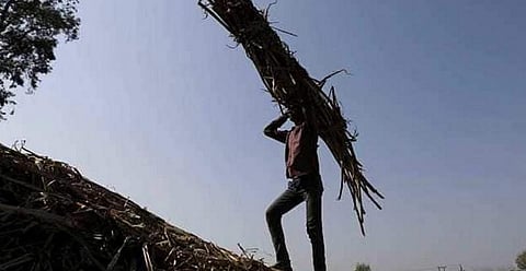 விவசாய கடன் தள்ளுபடியாக 13 ரூபாயா ? அதிர்ச்சியடைந்த விவசாயி