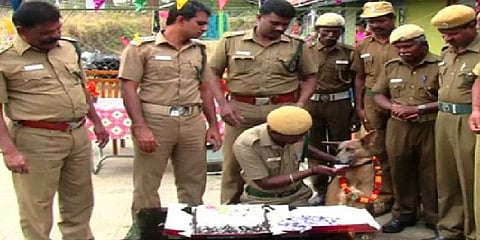 மோப்ப நாயின் பிறந்தநாளை கேக் வெட்டி கொண்டாடிய வனத்துறையினர்!