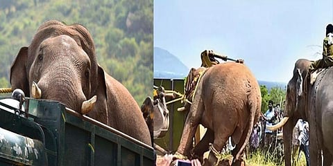 ட்விட்டரில் ட்ரெண்ட் ஆன ‘வா சின்னதம்பி’ ஹேஷ்டேக் !