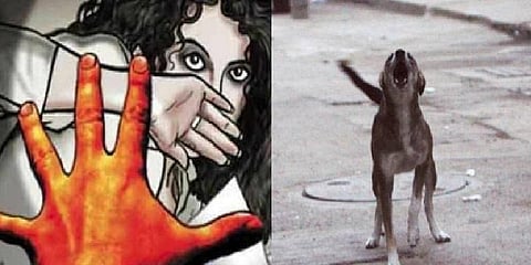 பாலியல் வன்கொடுமையில் இருந்து பெண்ணை காப்பாற்றிய நாய்!