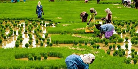 ஆறாயிரம் நிதி திட்டத்தால் தமிழகத்தில் 73 லட்சம் விவசாயிகள் பலன்