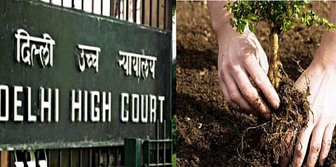 2ஜி வழக்கில் வினோத 'தண்டனை'! - 15,000 மரக்கன்றுகள் நட உத்தரவு