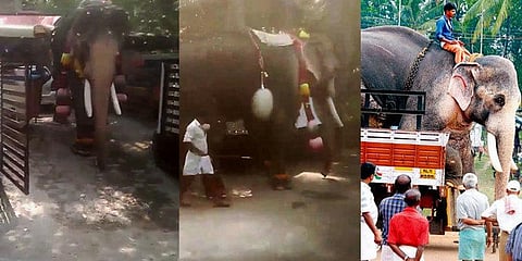 கிரகப்பிரவேச வீட்டில் கோயில் யானை தாக்கி 2 பேர் பலி