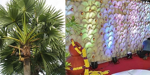 பனை ஓலைகளால் மக்கள் மனங்களை கவர்ந்த எம்.பி.ஏ. பட்டதாரி