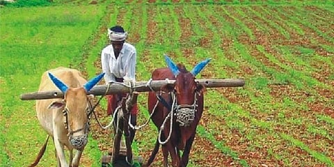 விவசாயிகளுக்கு நிதி உதவி அளிக்கும் திட்டம்: அரசாணை வெளியீடு