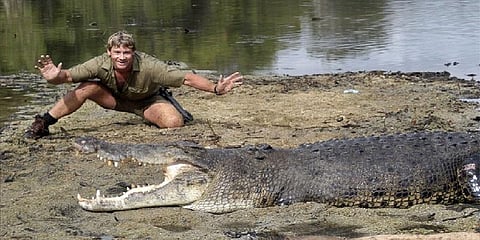 கூகுள் டூடுளில் கவுரவப்படுத்தப்பட்ட முதலை நண்பன் ஸ்டீவ் இர்வின்!