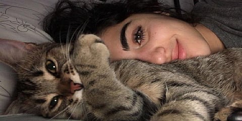 வீட்டிற்குள் சிக்கிக் கொண்ட உரிமையாளரை காப்பாற்றிய அறிவாளி பூனை