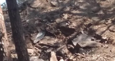 எல்லை மீறிய பாக். போர் விமானத்தை சுட்டு வீழ்த்தியது இந்தியா