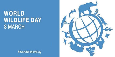 இன்று சர்வதேச வன உயிரின தினம்