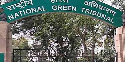 அரசியல் கட்சிகளின் பிளாஸ்டிக் கொடிகளுக்கு தடை - பசுமை தீர்ப்பாயம் யோசனை