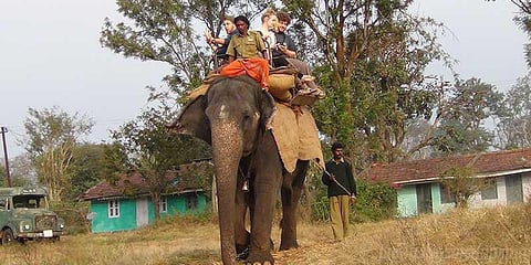 சட்ட விரோத யானைக் காப்பகங்கள் எவை? - அறிக்கை கேட்கும் நீதிமன்றம்