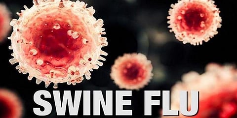 9 மாத கர்ப்பிணி பன்றிக் காய்ச்சலால் உயிரிழப்பு : மதுரையில் சோகம்