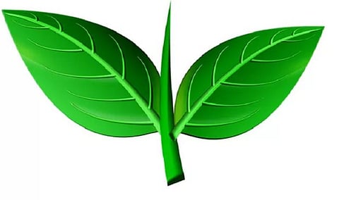 இரட்டை இலை சின்னம் வழக்கு 15-ஆம் தேதி விசாரணை: உச்சநீதிமன்றம்