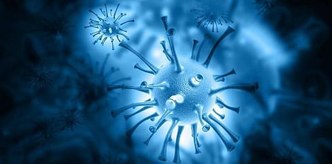 ‘வெஸ்ட் நைல் வைரஸ்’ தாக்கி கேரளச் சிறுவன் உயிரிழப்பு