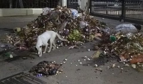 தனியார் பல்கலைக்கழக வாசலில் குப்பையை கொட்டி எதிர்ப்பு