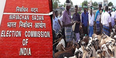 தேர்தல் நடத்தை விதிகளால் பல லட்சம் ரூபாய் ஆடு வர்த்தகம் பாதிப்பு