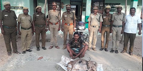 புள்ளிமானை வேட்டையாடியவர் கைது