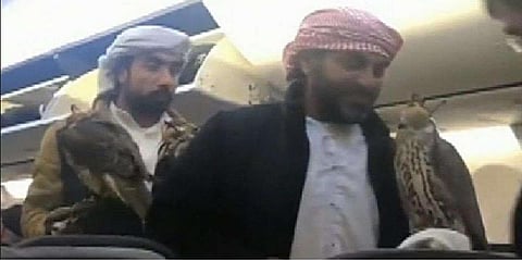 தேசிய பறவைகளுடன் விமானத்தில் பயணித்த அமீரக பயணிகள் :வைரல் வீடியோ