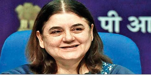 “இஸ்லாமியர்கள் எனக்கு வாக்களிக்காவிட்டால் உதவி செய்ய மாட்டேன்” - மேனகா காந்தி