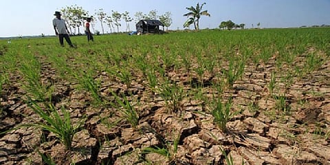 ‘எல் நினோ’ பாதிப்பினால் தென்மேற்குப் பருவ மழை குறைகிறதா?