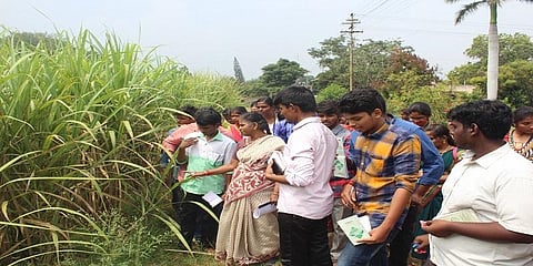 வேளாண் படிப்புகளில் சேர அகில இந்திய நுழைவுத்தேர்வு - 2019!