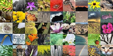 ''நினைவில் கொள்ளுங்கள் மனிதர்களே; இந்த பூமி நமக்கானது மட்டுமல்ல!''