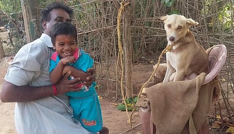 எஜமானரை காப்பாற்றி தனது உயிரை விட்ட பாசக்கார நாய்..!