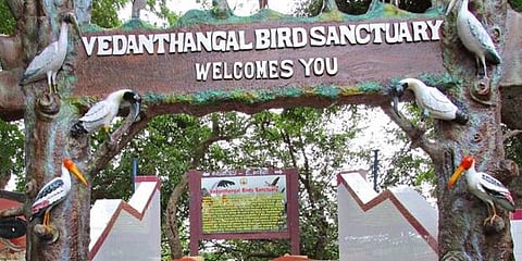 பறவைகள் இல்லாததால் வெறிச்சோடிய வேடந்தாங்கல்