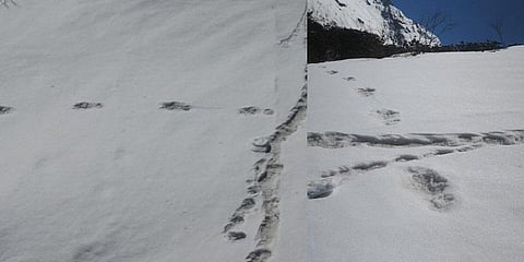 இமயமலையில் பனிமனிதனின் காலடித்தடமா ? புகைப்படத்தை பகிர்ந்த இந்திய ராணுவம்