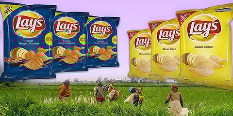 உருளைக்கிழங்கு விவகாரம்: விவசாயிகளுக்கு ஆதரவாக களமிறங்கிய குஜராத் அரசு ! கவலையில் பெப்சி நிர்வாகம்