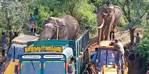 விநாயகன் யானை கழுத்தில் இருந்து மாயமான ரேடியோ காலர் ! தவிப்பில் வனத்துறையினர்