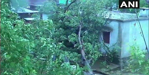 தொடங்கியது ஃபோனி தாண்டவம்! 245.கி.மீ வேகத்தில் காற்று; மரங்கள் சாய்ந்தன!