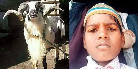 வெள்ளாடு முட்டி மாணவன் உயிரிழப்பு!