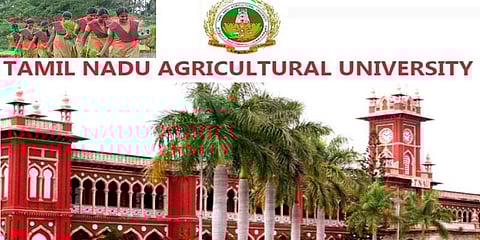 வேளாண் படிப்புகளில் சேர வாய்ப்பு!