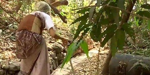 “மின்சாரமே வேண்டாமென வாழும் 79 வயது மூதாட்டி” - சிலிர்க்க வைக்கும் காரணம்..!