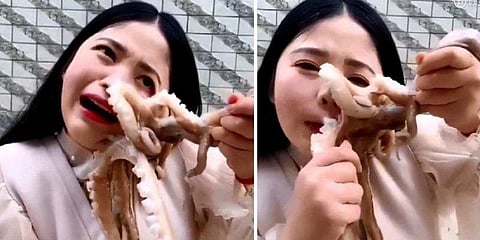 உயிருடன் ஆக்டோபஸை சாப்பிட முயன்ற பெண் : கடித்து குதறிய விபரீதம்