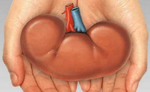 “சிறுநீரகம் தானம் செய்தால் ரூ.3 கோடி”- தனியார் மருத்துவமனை பெயரில் மோசடி