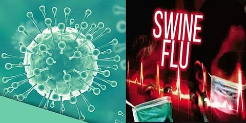 கேரளாவில் நிபா வைரஸைத் தொடர்ந்து பன்றிக் காய்ச்சல் பீதி