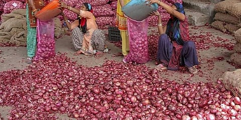 50 ஆயிரம் டன் வெங்காயம் இருப்பு : விலையேற்றத்தை தடுக்க மத்திய அரசு நடவடிக்கை