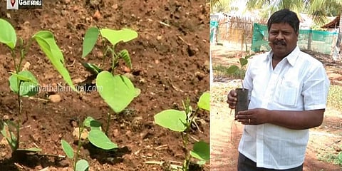 “இயற்கையின் மீது தீராத காதல்”- 3 லட்சம் மரக்கன்றுகளை வளர்க்கும் அரசுப் பேருந்து நடத்துநர்..!