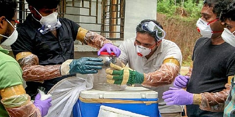 கேரளாவில் நிபா வைரஸ்: தமிழக எல்லையில் தீவிர கண்காணிப்பு!