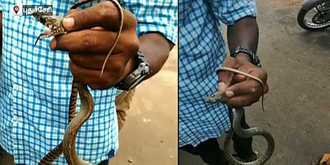 மூன்று மாதங்களாக ஏசி இயந்திரத்தில் தங்கி இருந்த பாம்பு