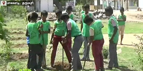 அரசுப் பள்ளியை சோலையாக மாற்றிய மாணவர்கள் - குவியும் பாராட்டுக்கள்