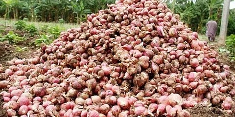 கடும் வறட்சியால் சின்ன வெங்காயத்தின் விலை உயர்வு