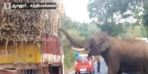 லாரியில் இருந்த கரும்பை ரசித்து ருசித்த யானை - வீடியோ