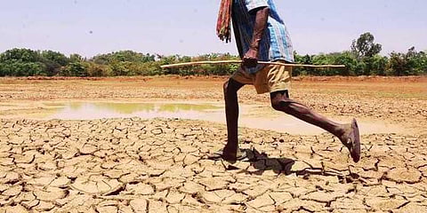 தமிழ்நாட்டில் 358 தாலுகாக்களில் நிலத்தடி நீர்மட்டம் இல்லை - மத்திய அரசு