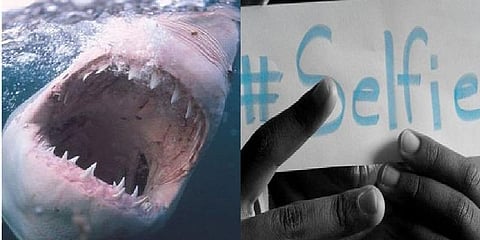 சுறா மீன் தாக்குதலை விடவும் செல்ஃபி தான் ஆபத்து - அதிர வைத்த புள்ளிவிவரம்!
