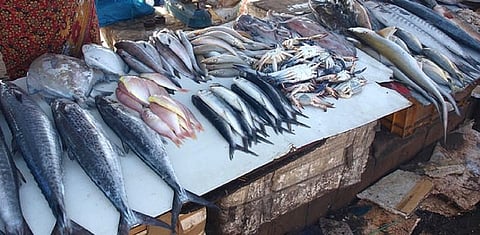 சிக்கன் மட்டனோடு மீன்களின் விலையும் உச்சம்.. அசைவப்பிரியர்கள் அதிருப்தி..!